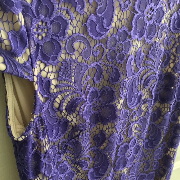Ivy & Blu purple shift dress - Picture 4 of 7